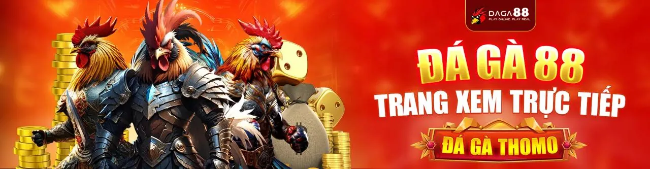 Luật chơi cá cược thể thao tại bi88 win